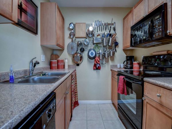 St. Petersburg Condo 1015926