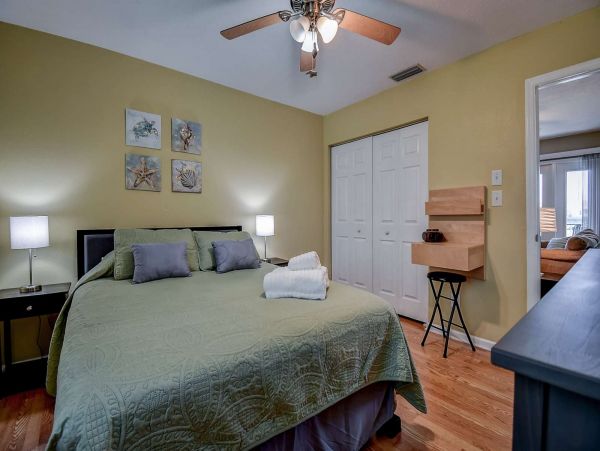 St. Petersburg Condo 1015926