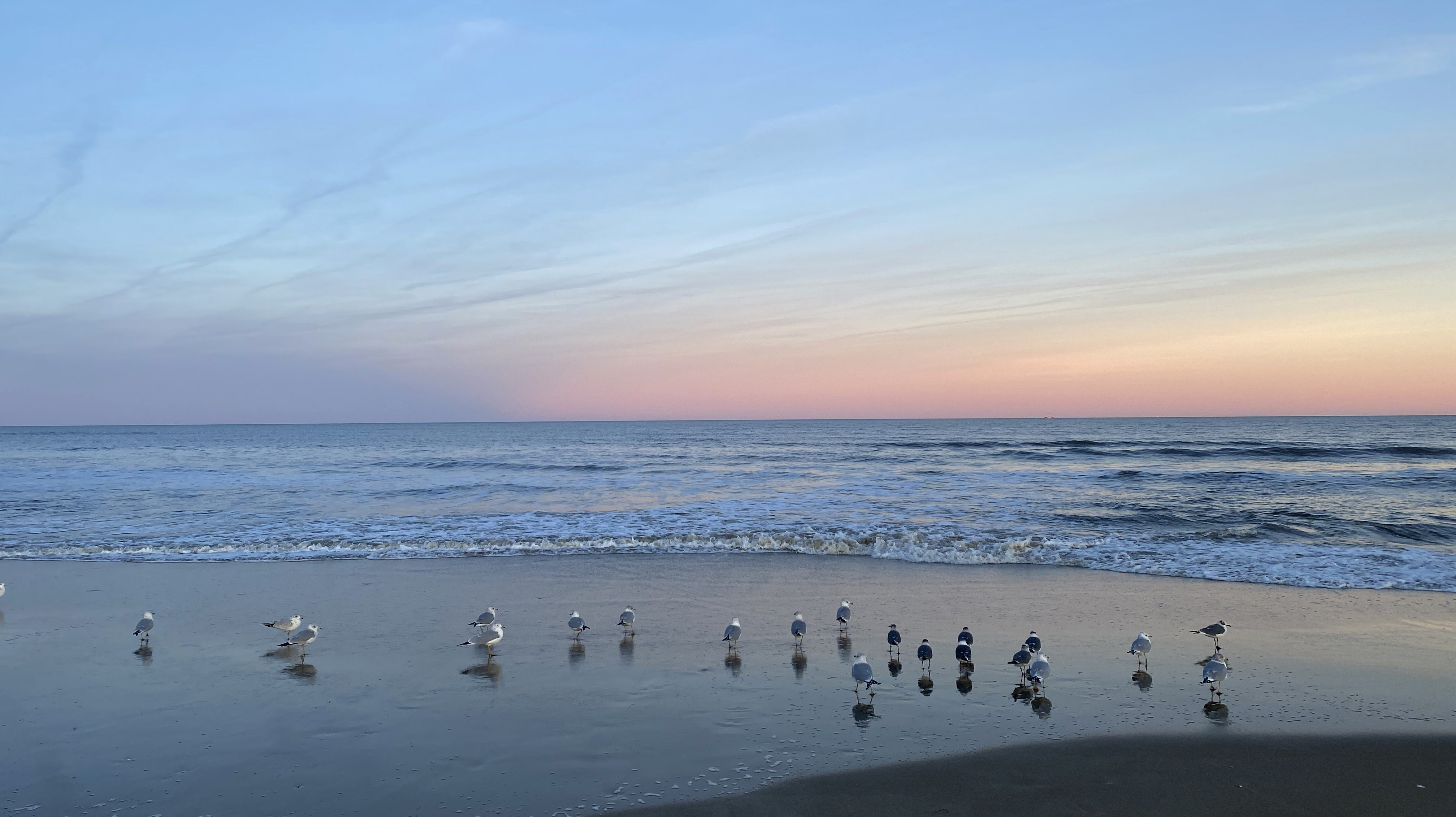 The Outer Banks Home 1015959