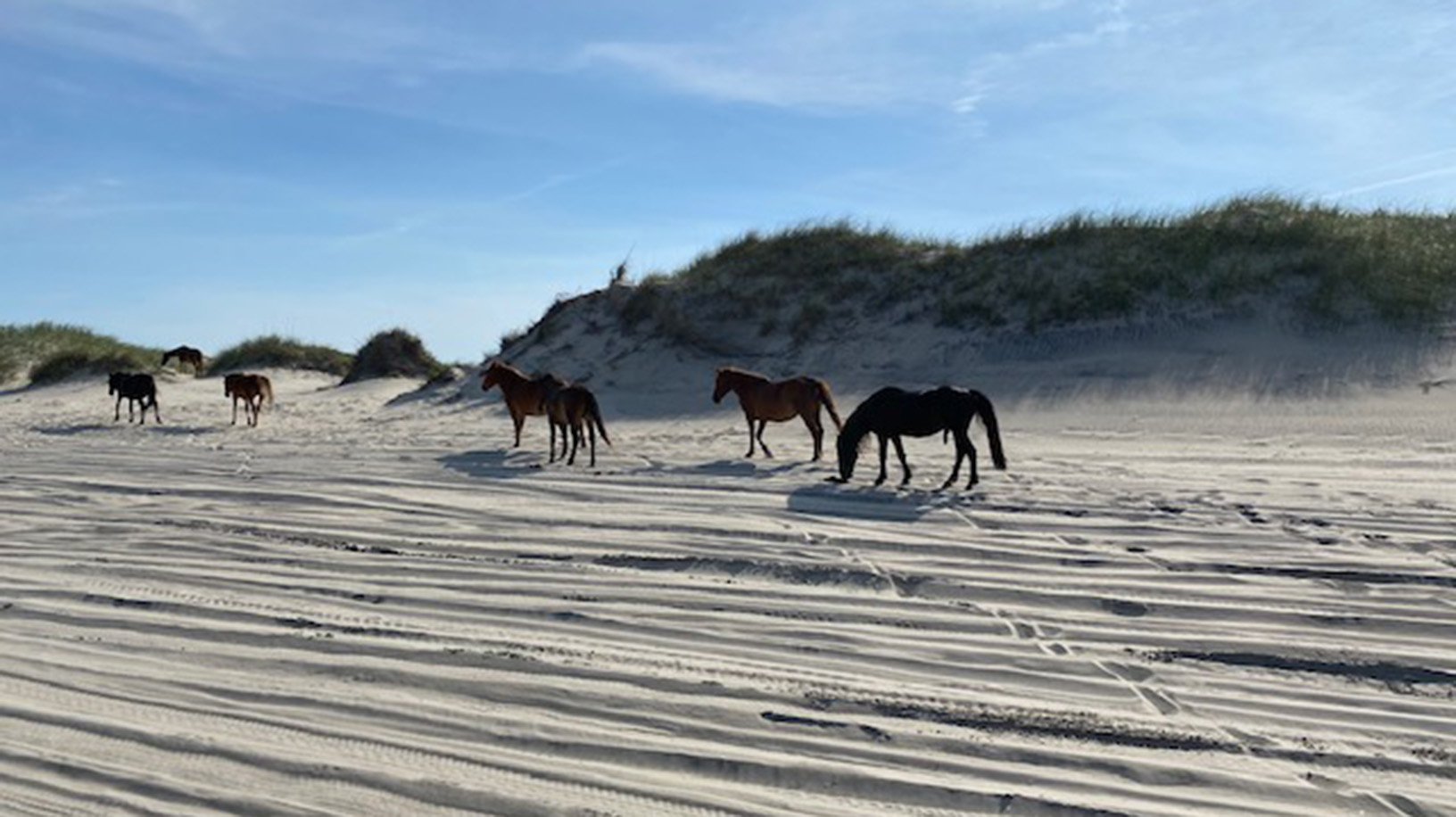 The Outer Banks Home 1016017