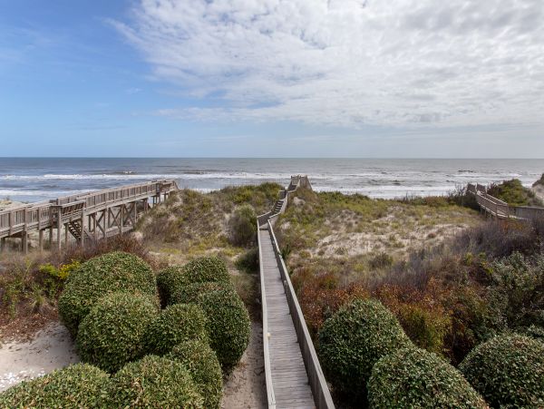 The Outer Banks Home 1016018