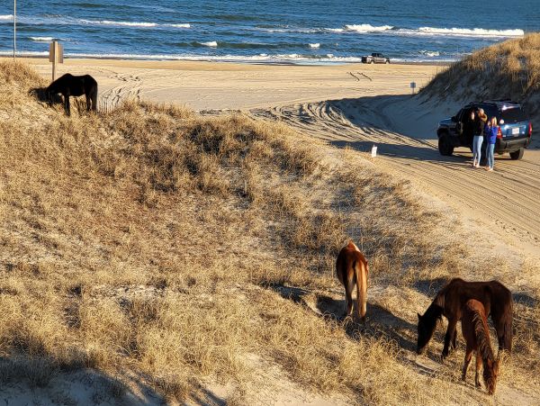 The Outer Banks Home 1016037