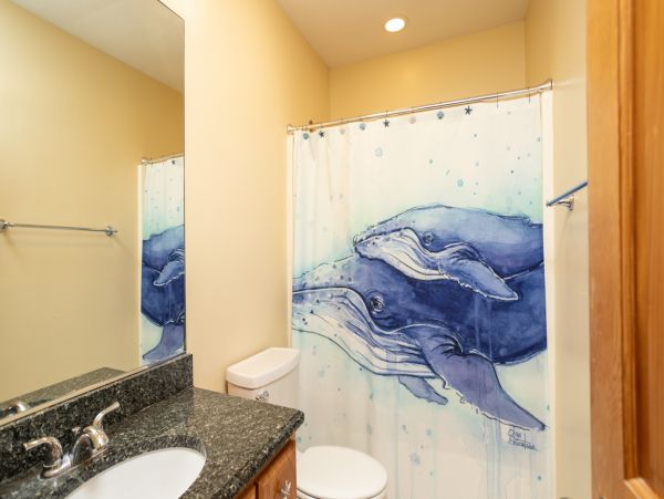 The Outer Banks Home 1016047