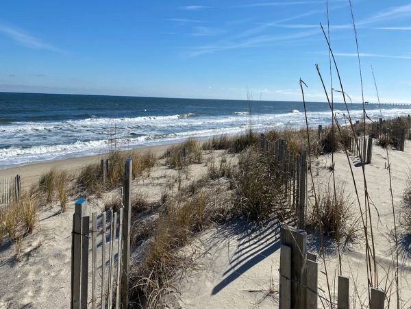 The Outer Banks Home 1016146