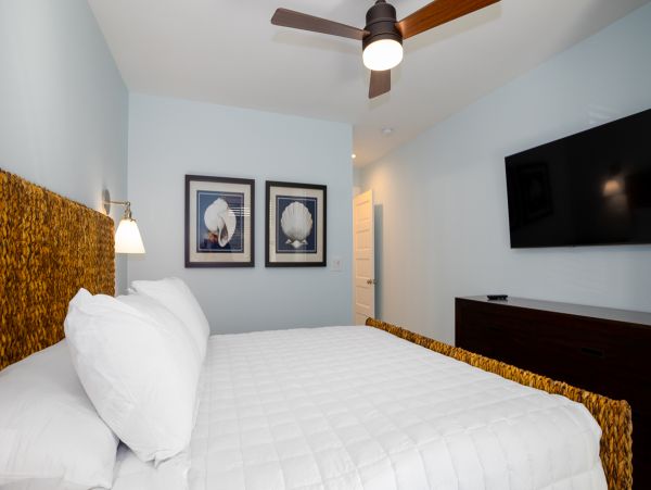 The Outer Banks Home 1016153