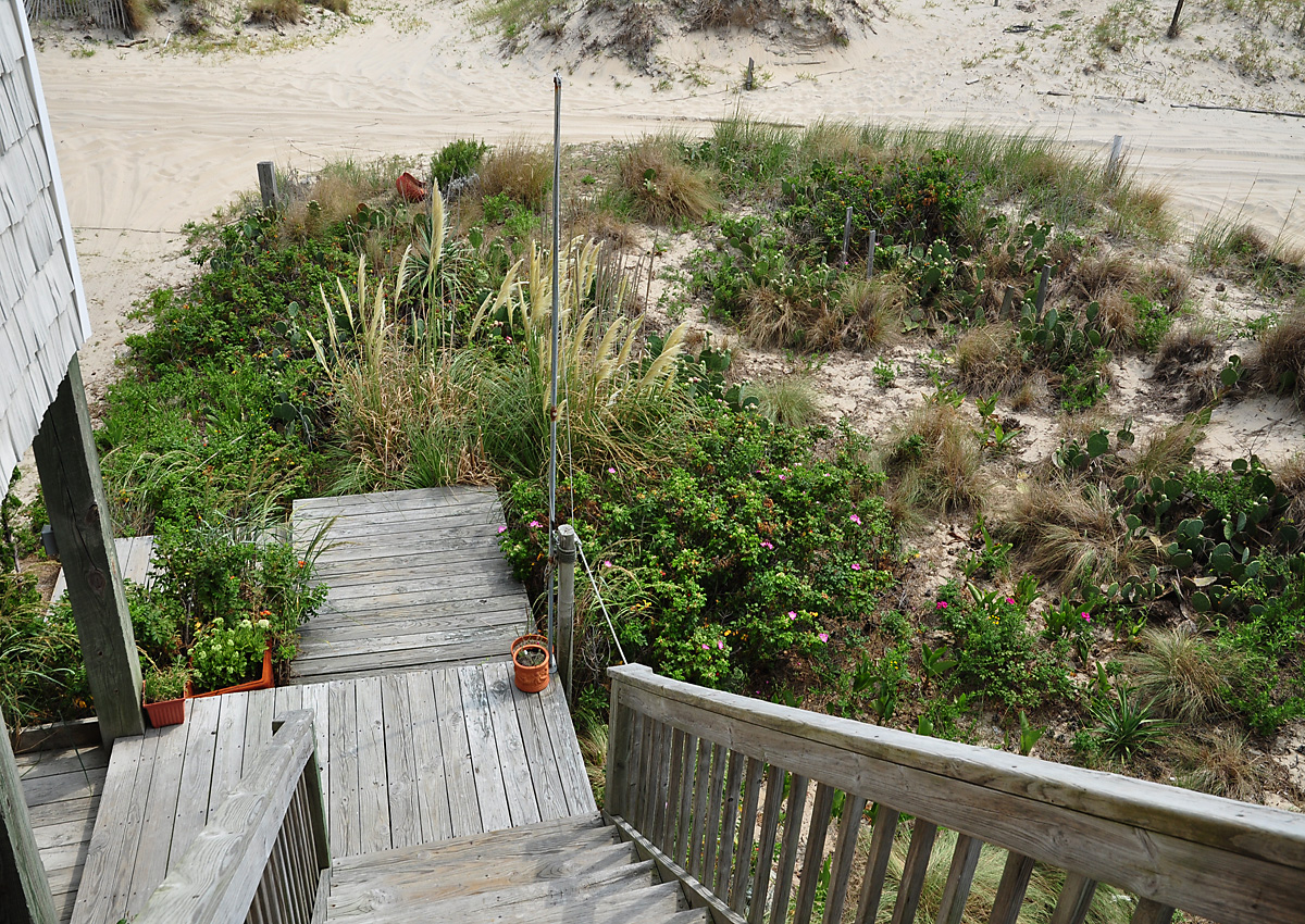 The Outer Banks Home 1016160