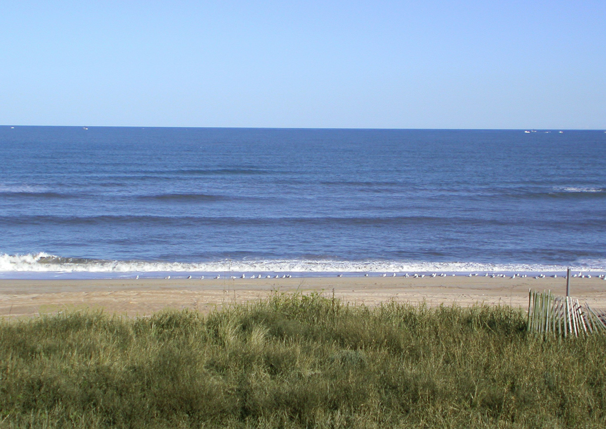 The Outer Banks Home 1016167