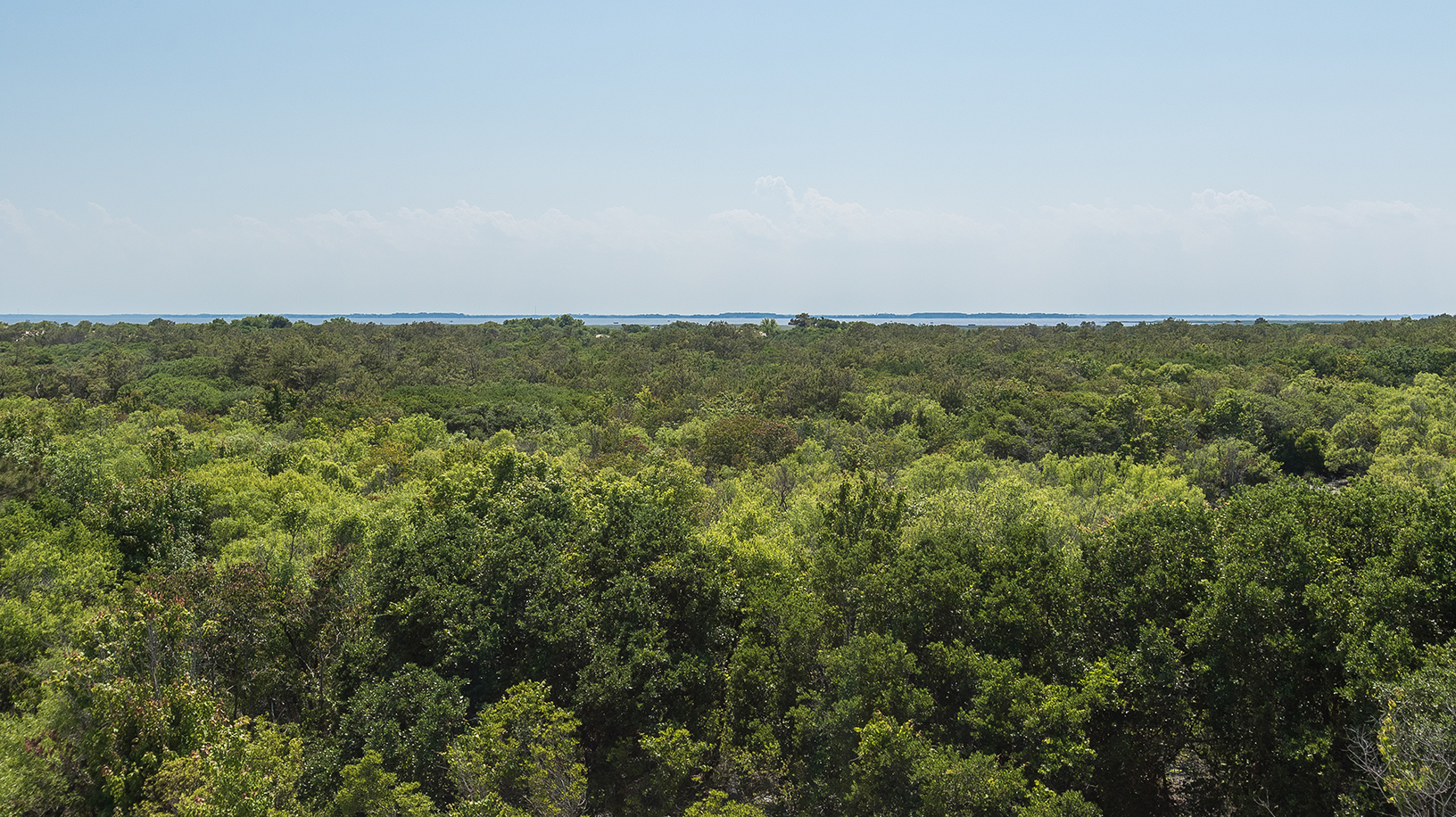 The Outer Banks Home 1016242