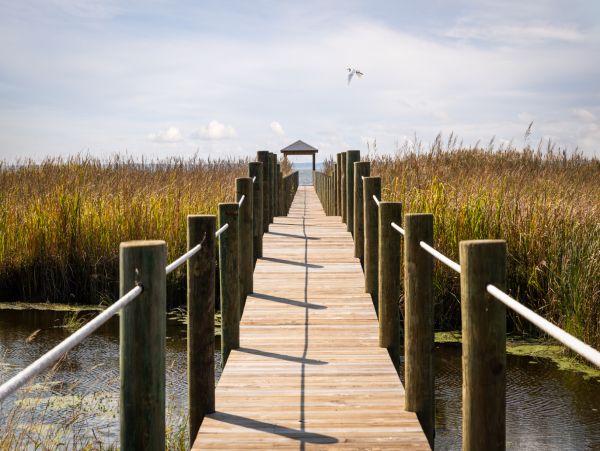 The Outer Banks Home 1016247