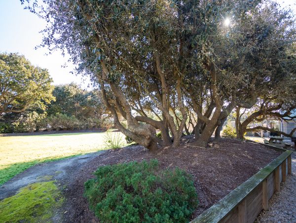 The Outer Banks Home 1016273