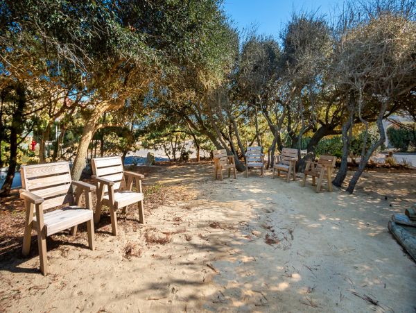 The Outer Banks Home 1016319