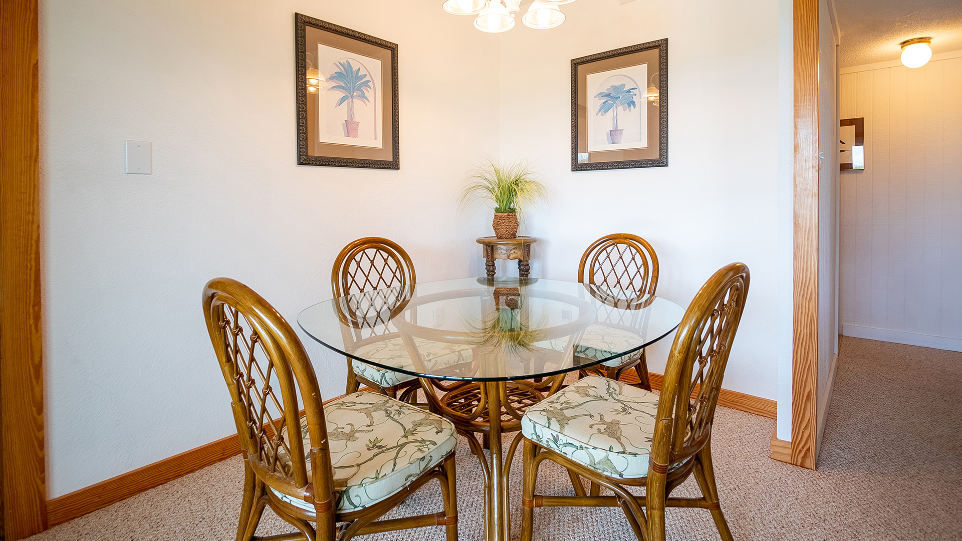 The Outer Banks Home 1016368