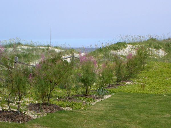 The Outer Banks Home 1016444