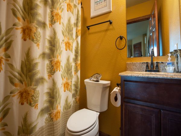 The Outer Banks Home 1016449