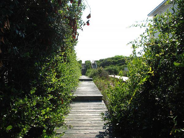The Outer Banks Home 1016475