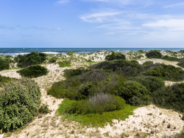 The Outer Banks Home 1016530