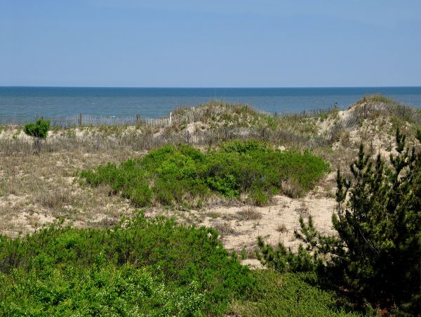 The Outer Banks Home 1016542