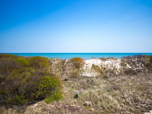 The Outer Banks Home 1016573