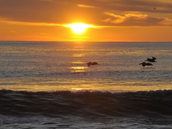 The Outer Banks Home 1016588