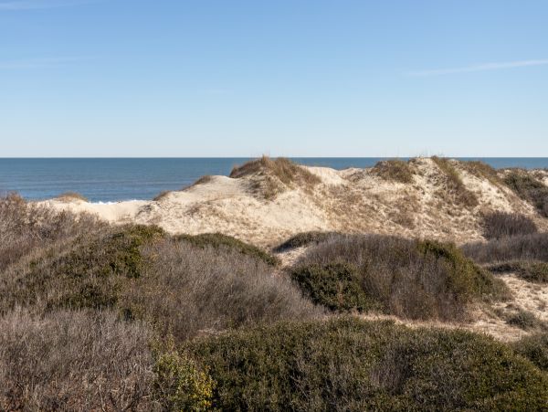 The Outer Banks Home 1016638