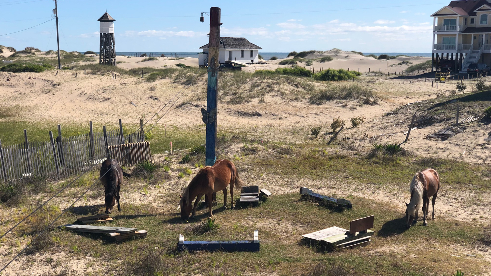 The Outer Banks Home 1016673