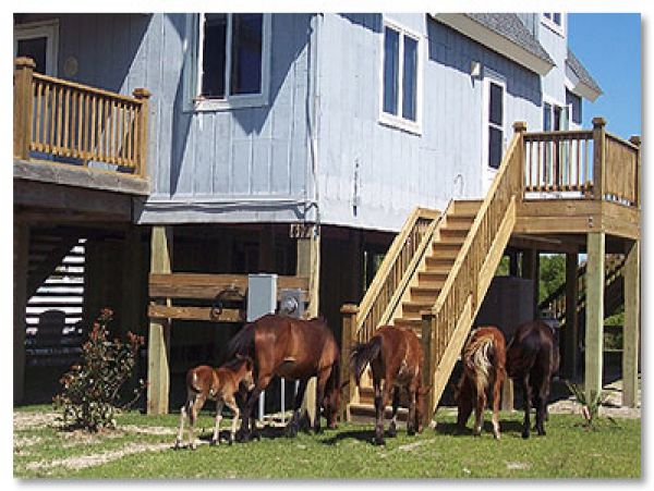 The Outer Banks Home 1016753