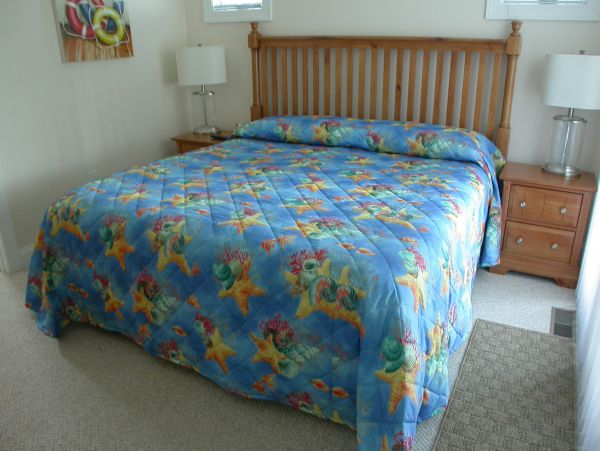 The Outer Banks Home 1016906