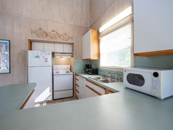 The Outer Banks Home 1016983