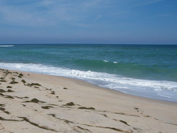 Magnificent Outer Banks Ocean Views!