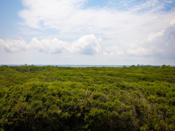 The Outer Banks Home 1017016