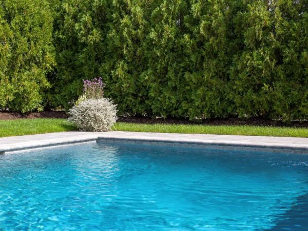 The Hamptons Luxury Vacation Pool Home Four Bedrooms