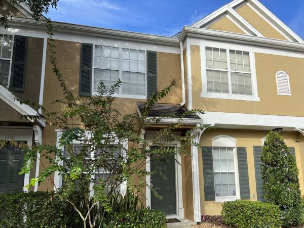 Tampa Condo 1017089