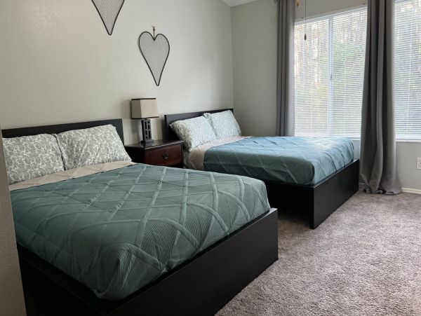 Tampa Condo 1017089