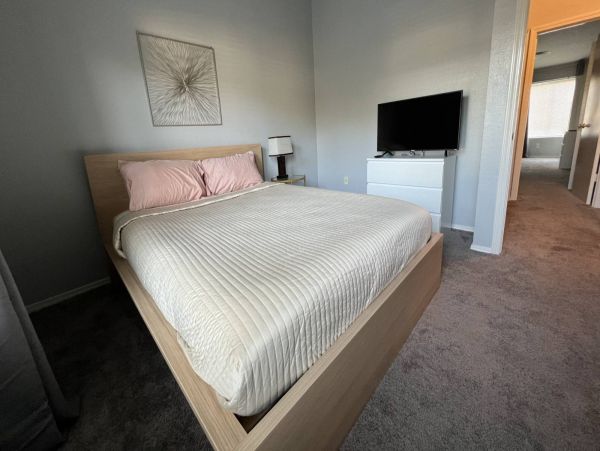 Tampa Condo 1017089