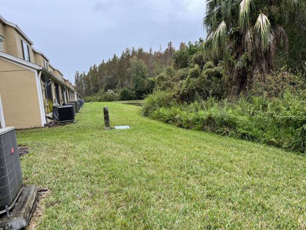 Tampa Condo 1017089