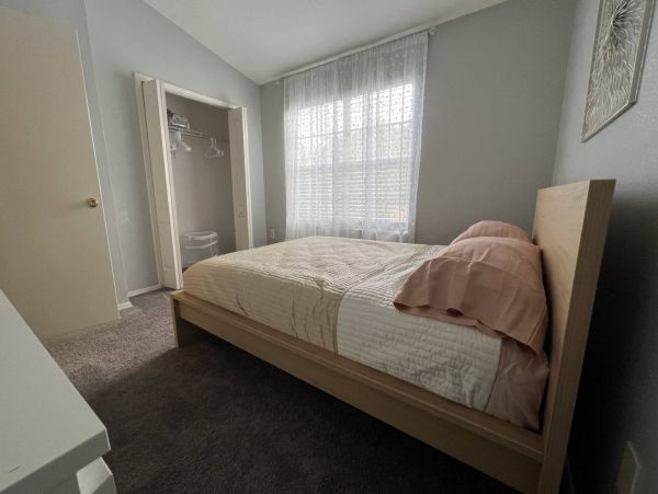 Tampa Condo 1017089