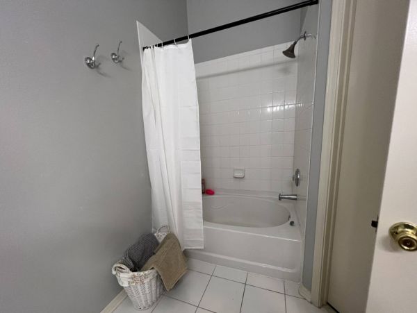 Tampa Condo 1017089