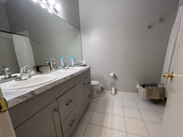 Tampa Condo 1017089