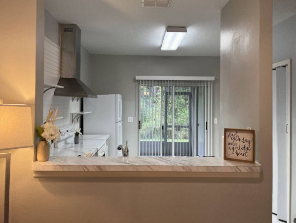Tampa Condo 1017089