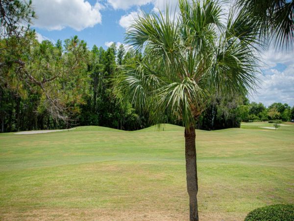 Tampa Condo 1017091