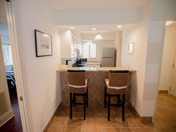 Tampa Condo 1017091