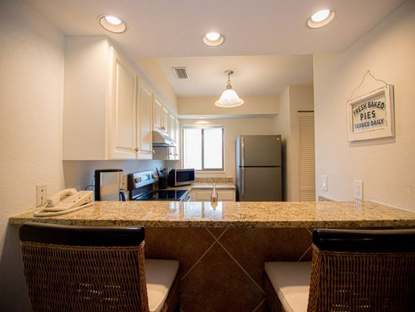 Tampa Condo 1017091