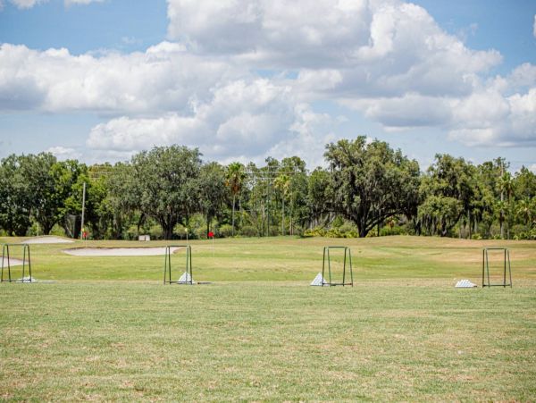 Tampa Condo 1017091