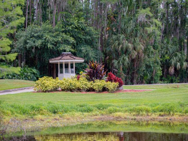 Tampa Condo 1017091