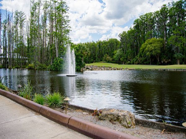 Tampa Condo 1017091