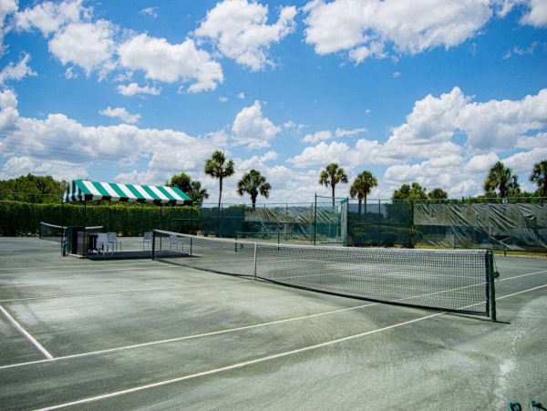 Tampa Condo 1017091