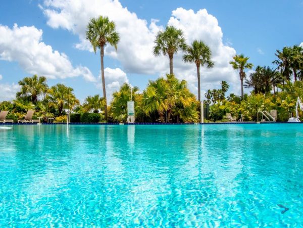 Tampa Condo 1017091