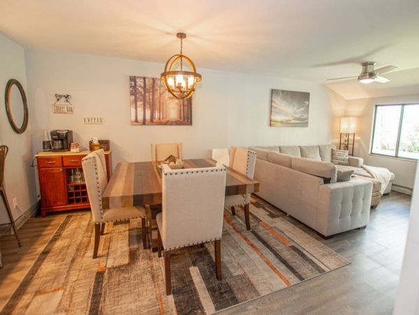 Tampa Condo 1017092