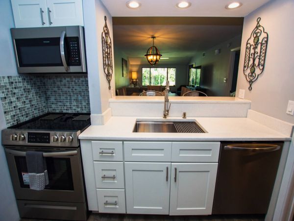 Tampa Condo 1017092