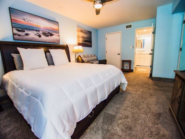 Tampa Condo 1017092